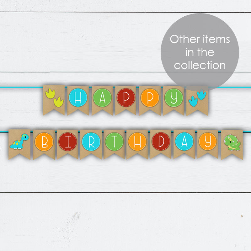 Girl Dinosaur Birthday Invitation