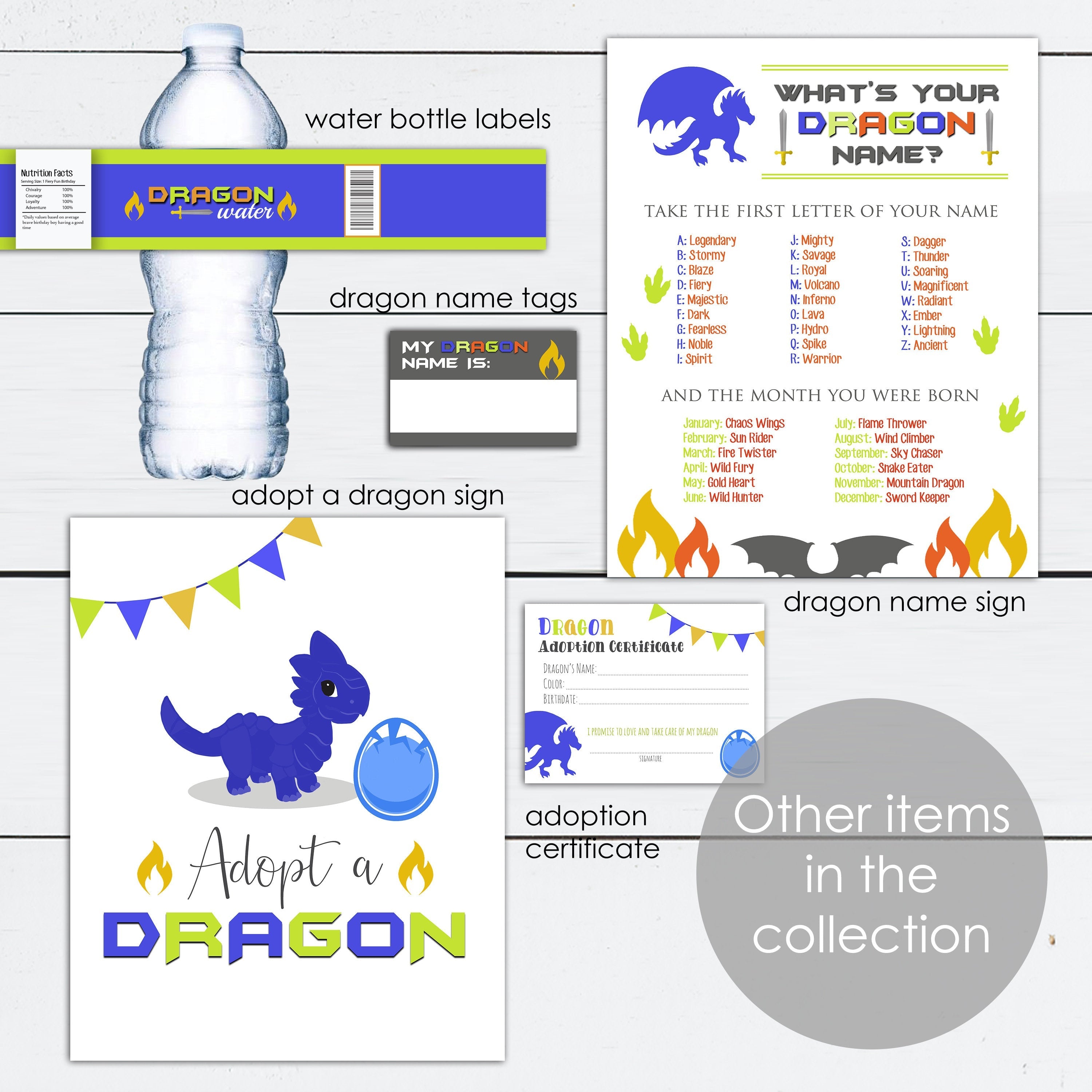 Dragon Birthday Party Dragon Name Tags and Sign Digital Files